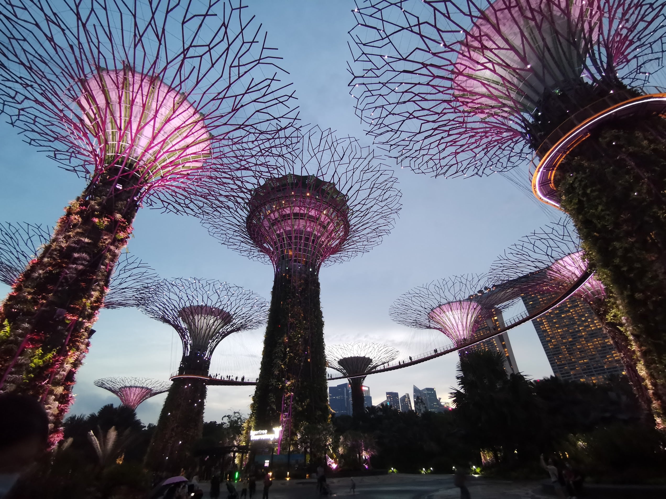 ファーストビュー画像